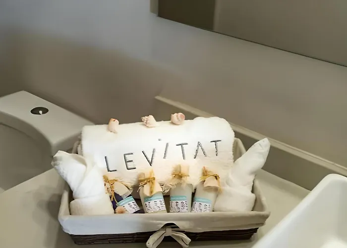 Appart hôtel Levitat 32